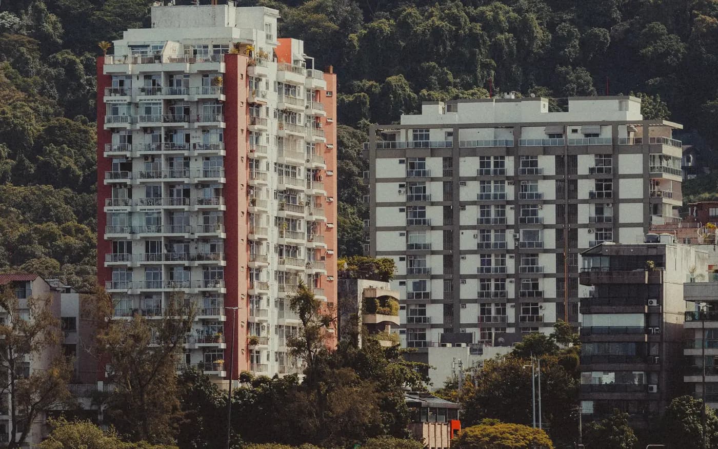 Prédios residenciais com a mata ao fundo