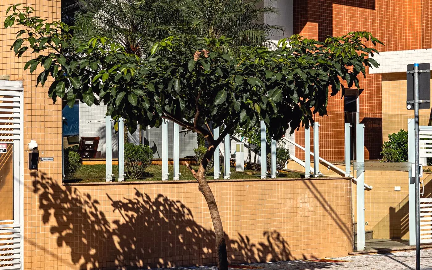 Térreo de prédio residencial com árvore na calçada e sombra do fim de tarde